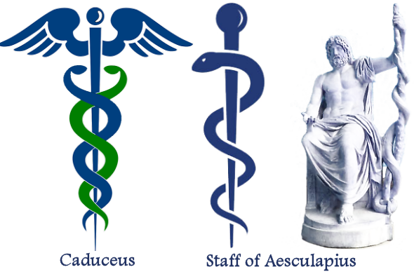 BATTLE OF THE SNAKES – STAFF OF AESCULAPIUS VS. CADUCEUS