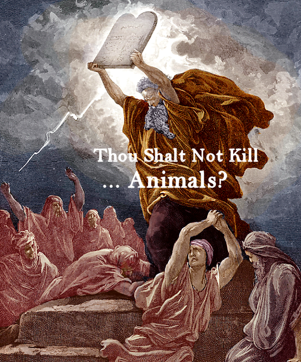 RELIGION, ANIMAL SLAUGHTER & WARS